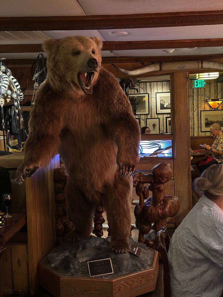 Bar Bear