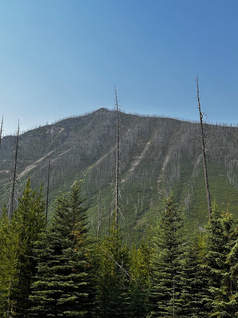 Mountain wrinkles