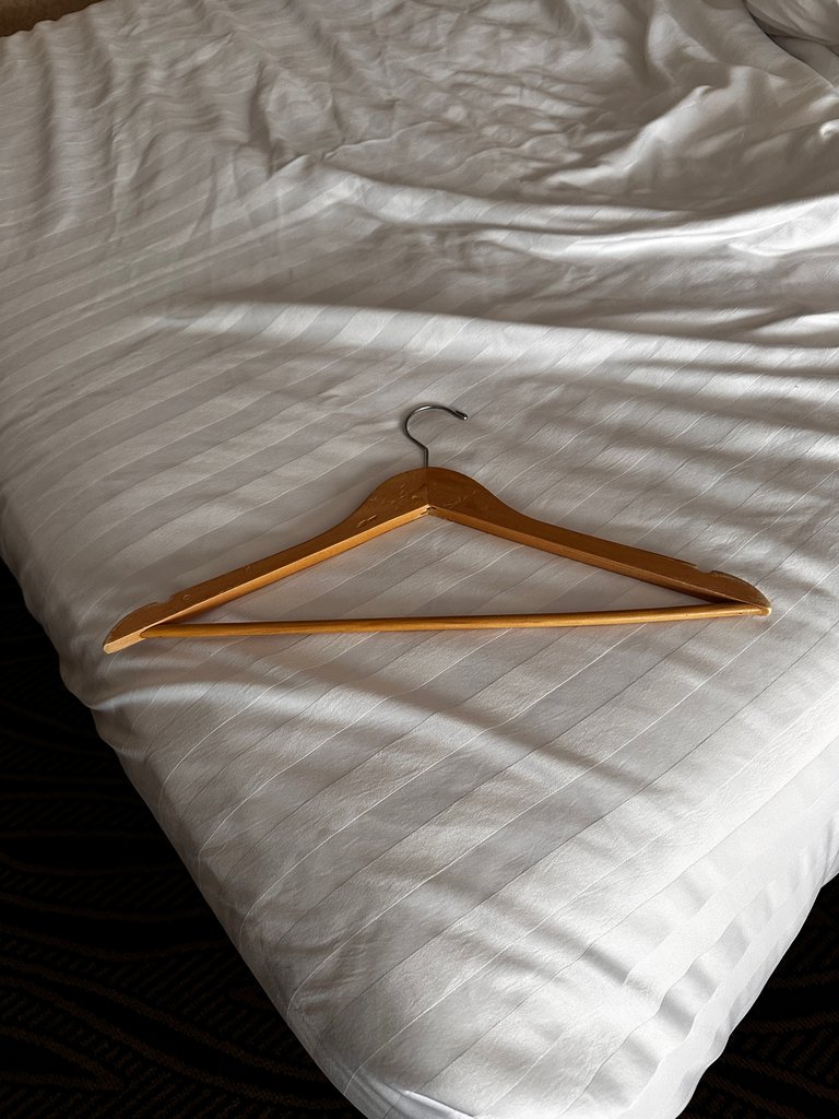 Hotel hanger