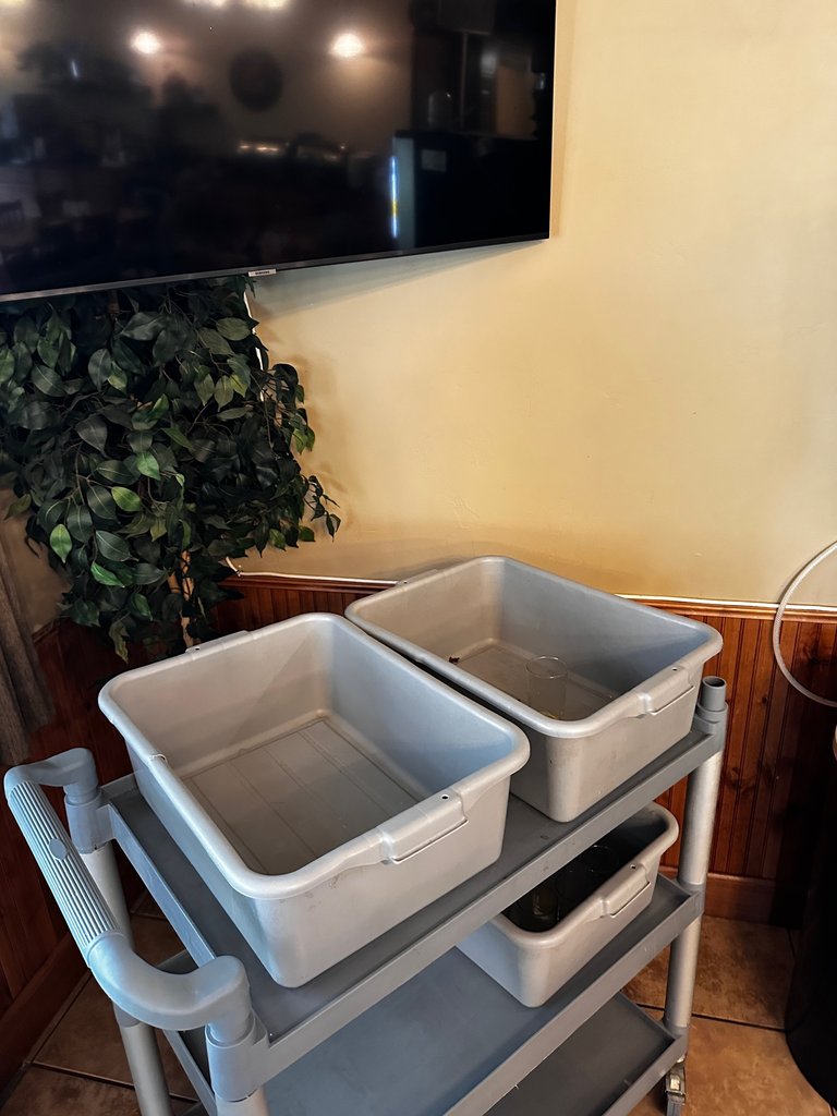 Clean dish buckets