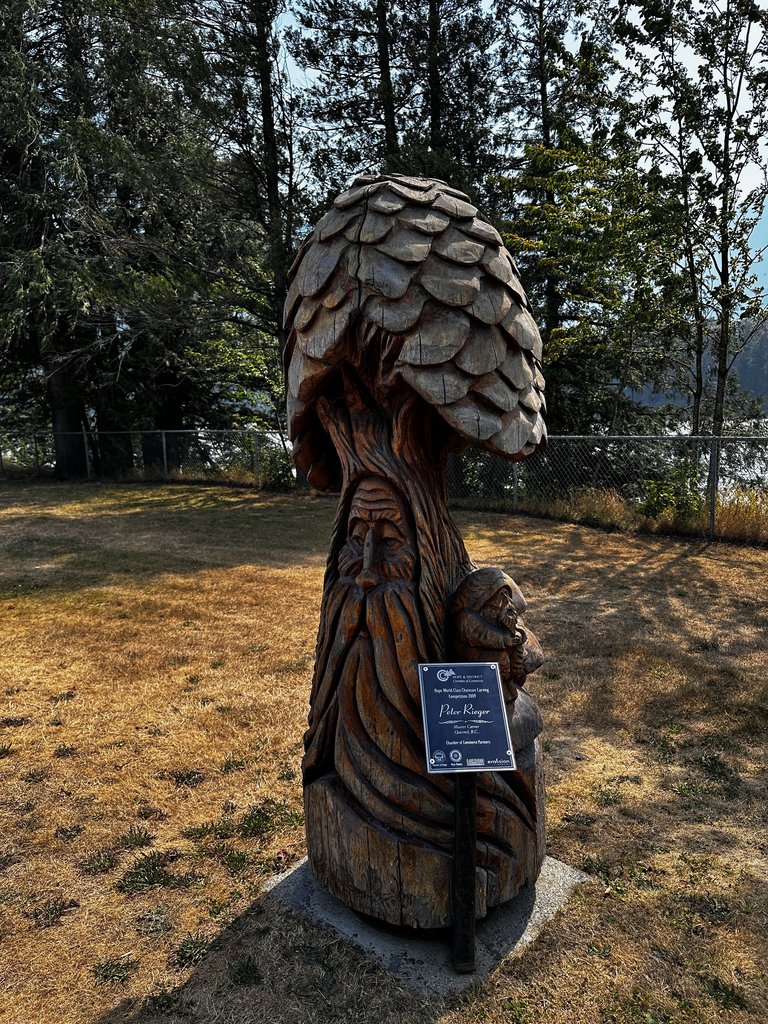 Carving 6