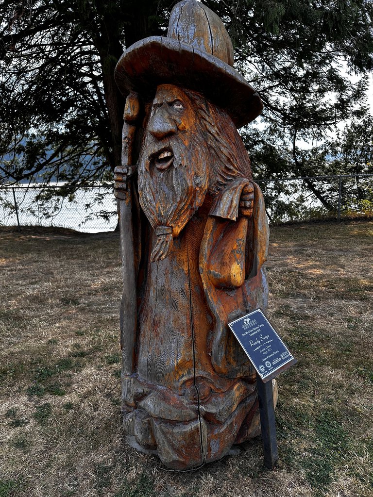 Carving 7
