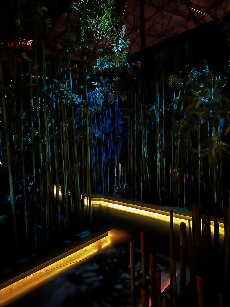Sudden dark jungle experience