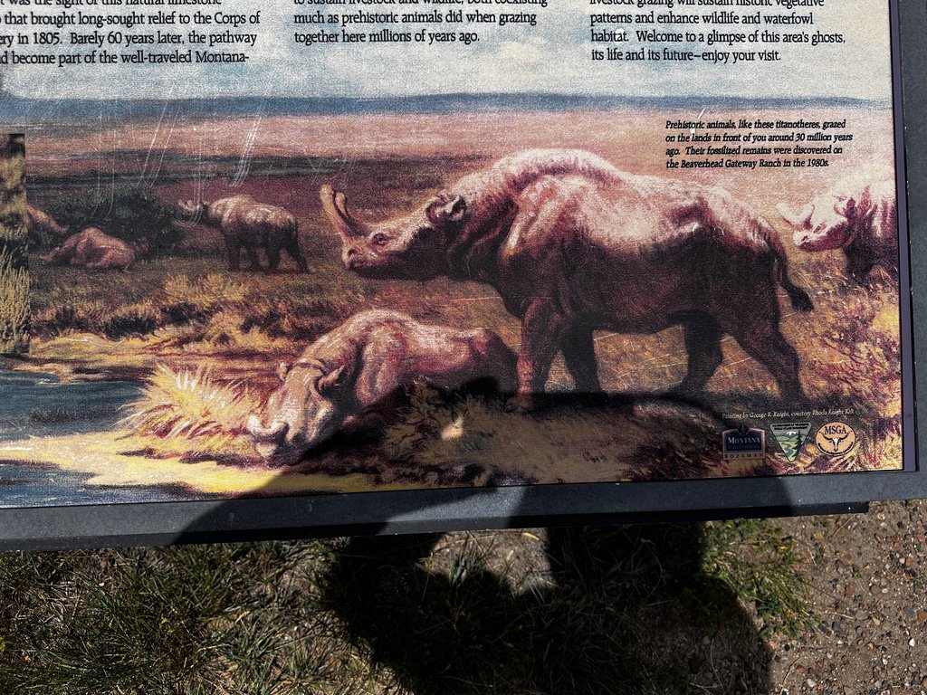 Prehistoric Animals